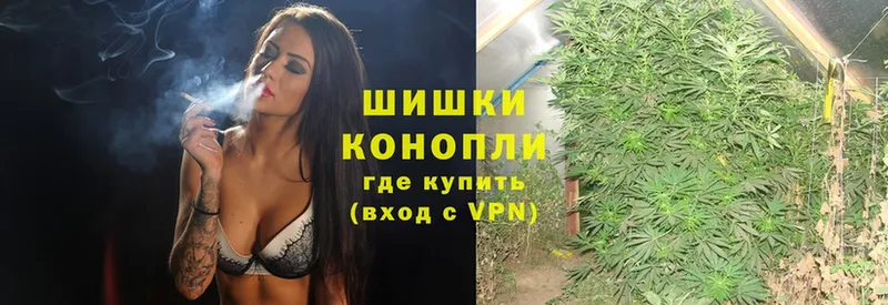 Бошки Шишки OG Kush  Нахабино 